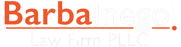 Legal Immigration Services for Visas, Green Cards, and Citizenship
